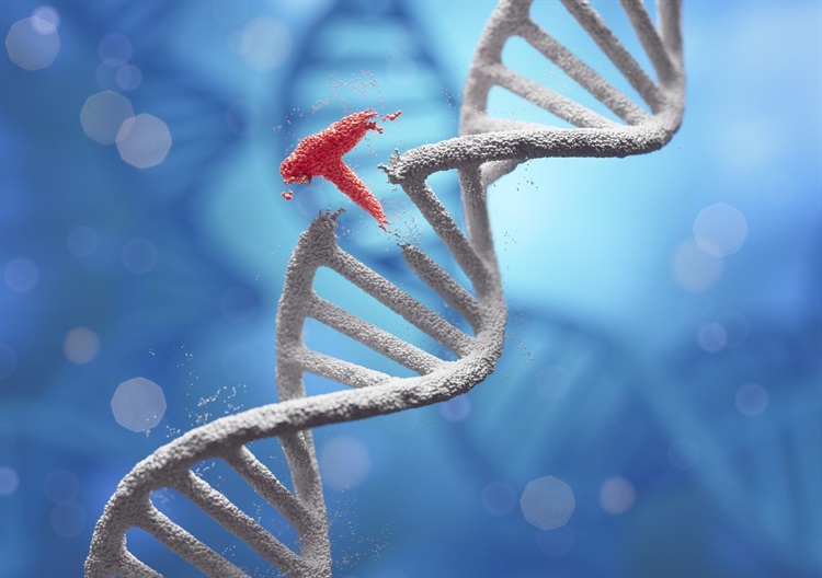 Prime Editing: The Next Frontier in Genetic Medicine