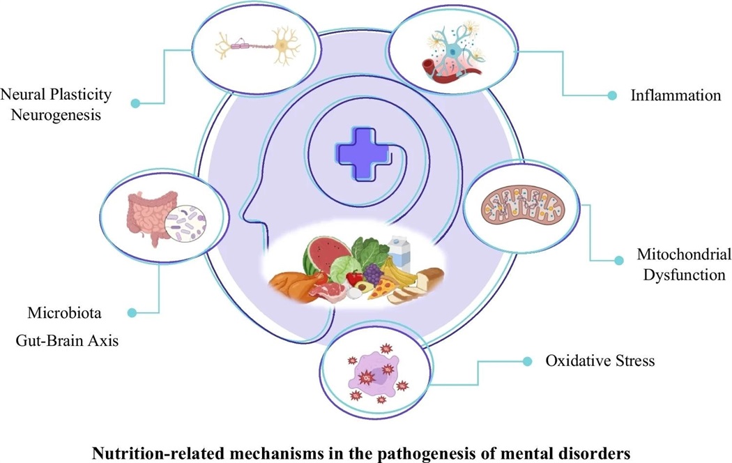 The MIND Diet Explained: Foods That Fight Cognitive Decline