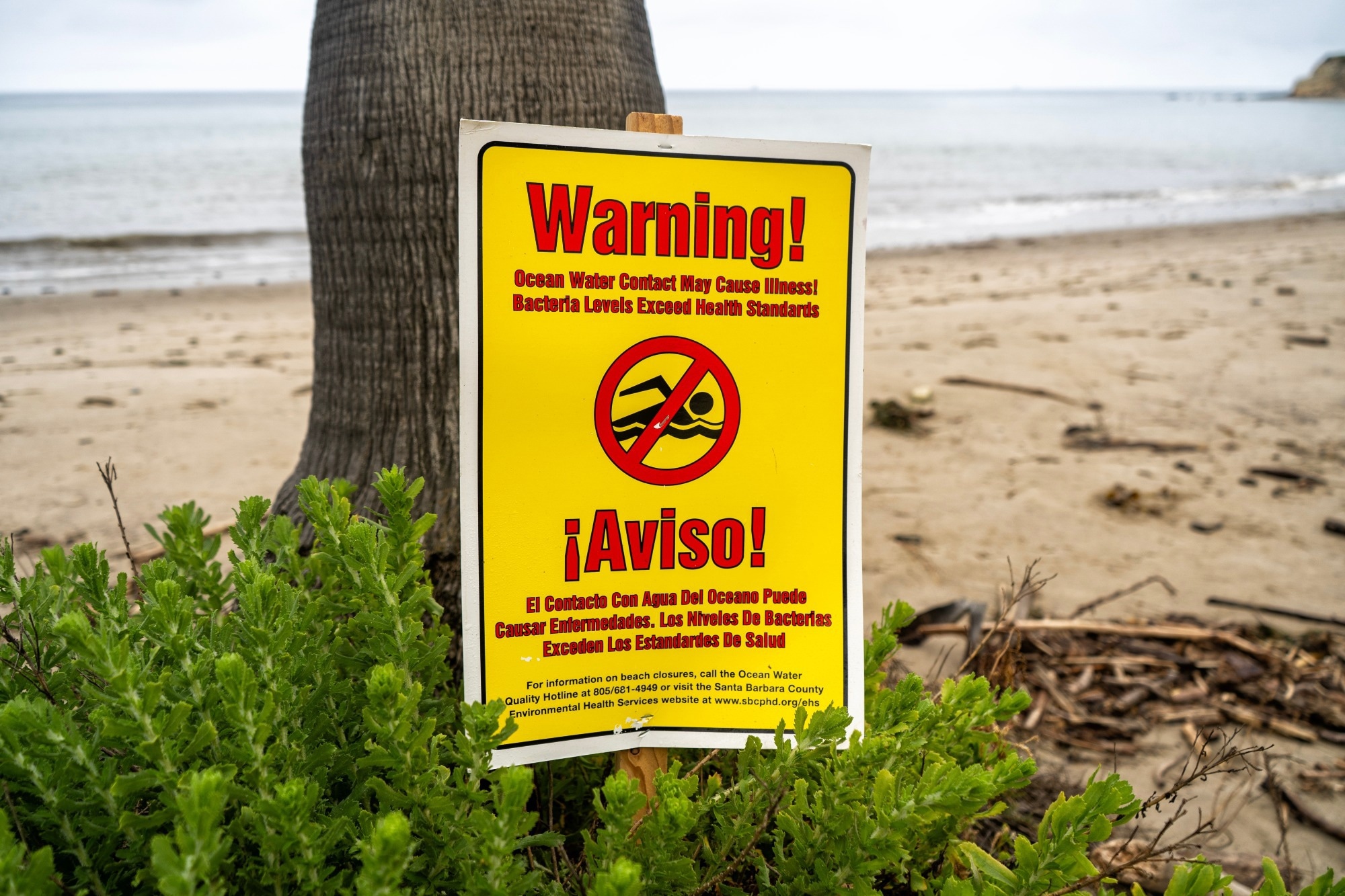 Current Risk Beach Bacterial Risks at Beaches and Evidence-Based Safety Strategies