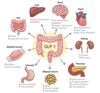 Can one drug do it all? Reviewing the expanding clinical universe of GLP-1 agonists Can one drug do it all? Reviewing the expanding clinical universe of GLP-1 agonists