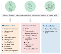 Does Diet Affect Breast Milk Nutrition: Unveiling the Truth