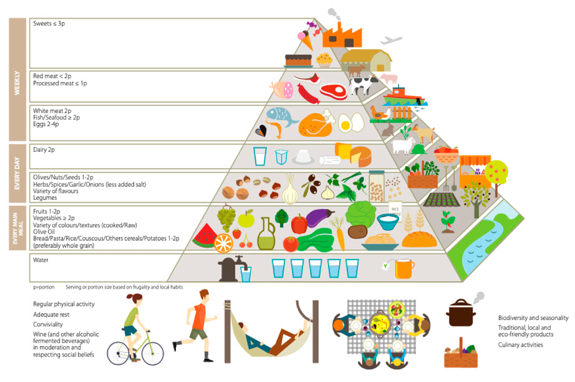 Low-Protein Diets for Longevity: Benefits, Risks, and Scientific Evidence