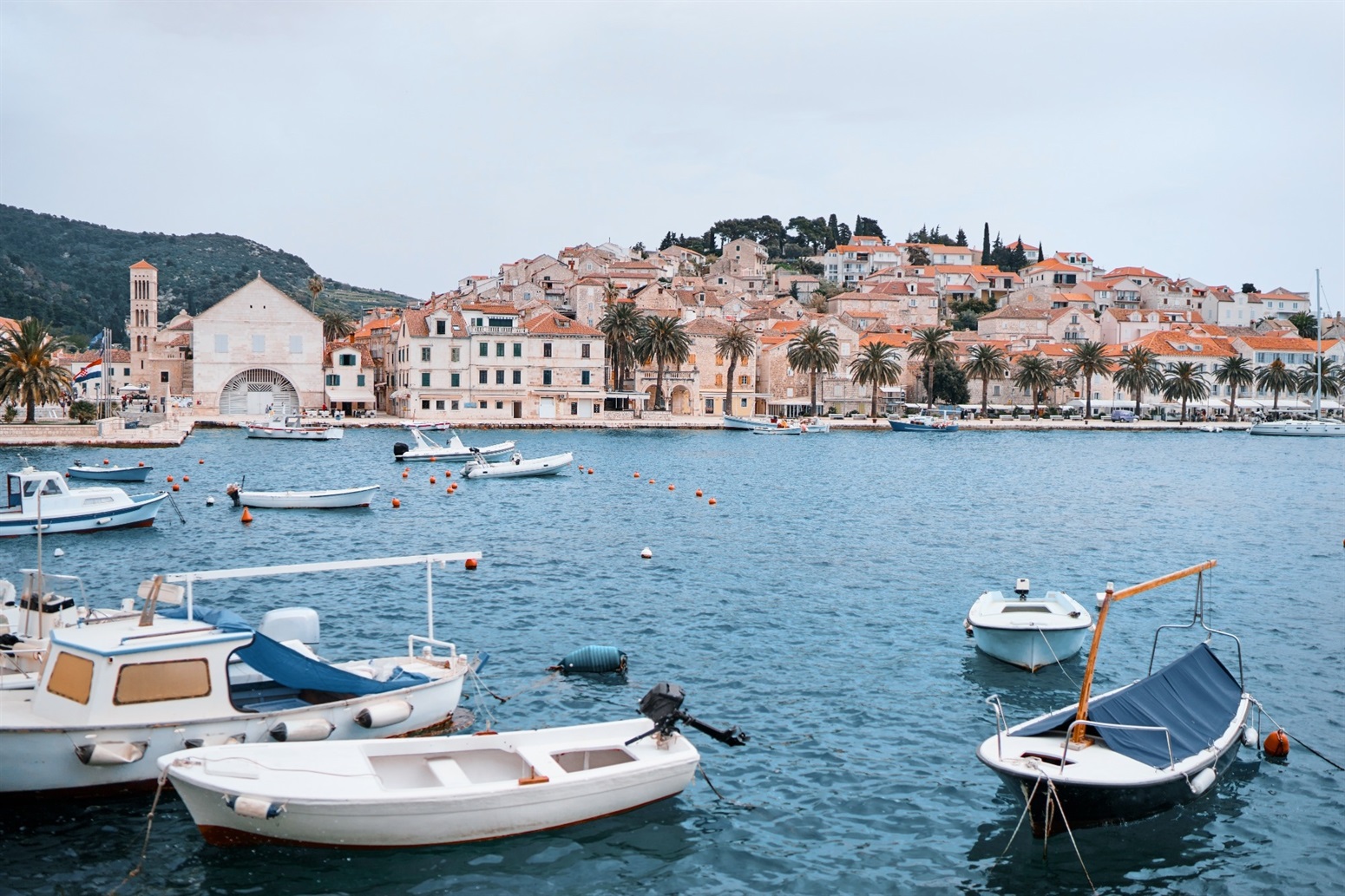 Adriatic Diet Explained: Cardiovascular Benefits and Scientific Evidence