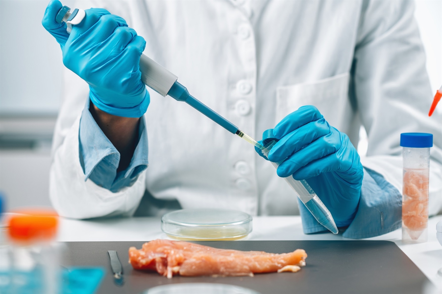New rapid PCR method detects Salmonella in food within hours
