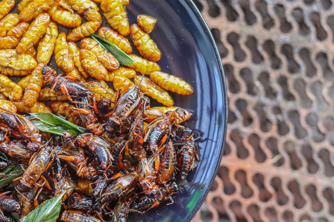 Edible Insects as Food: Nutritional Benefits, Safety, and Environmental ...