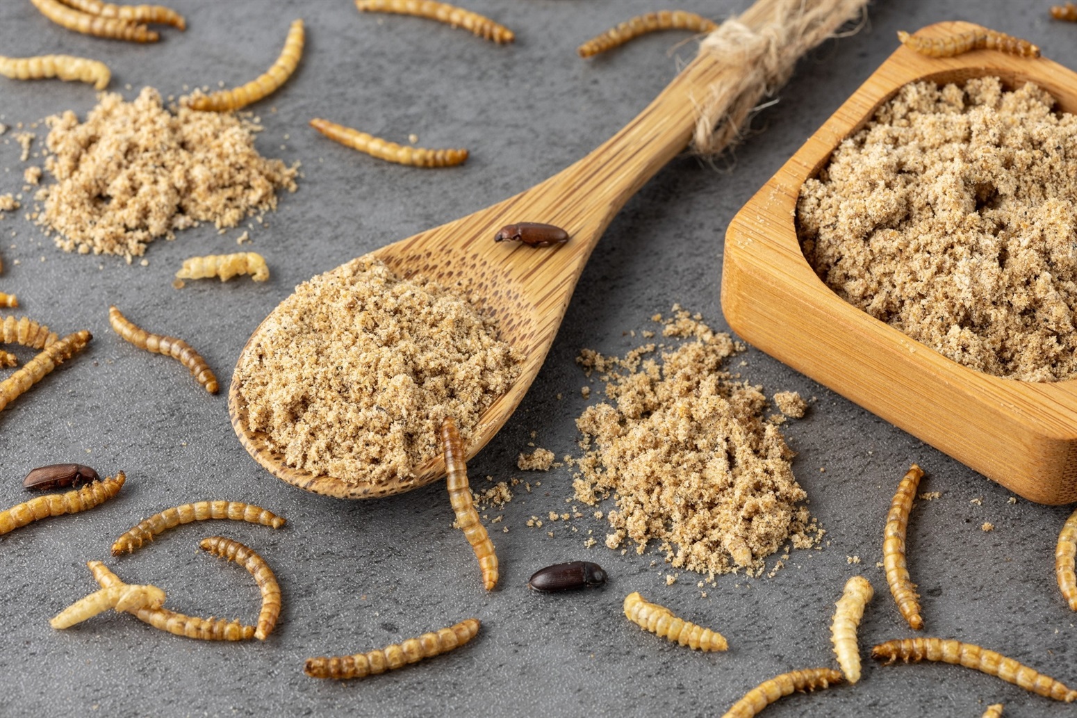 Edible Innards Edible Insects as Food: Nutritional Benefits, Safety, and Environmental ...