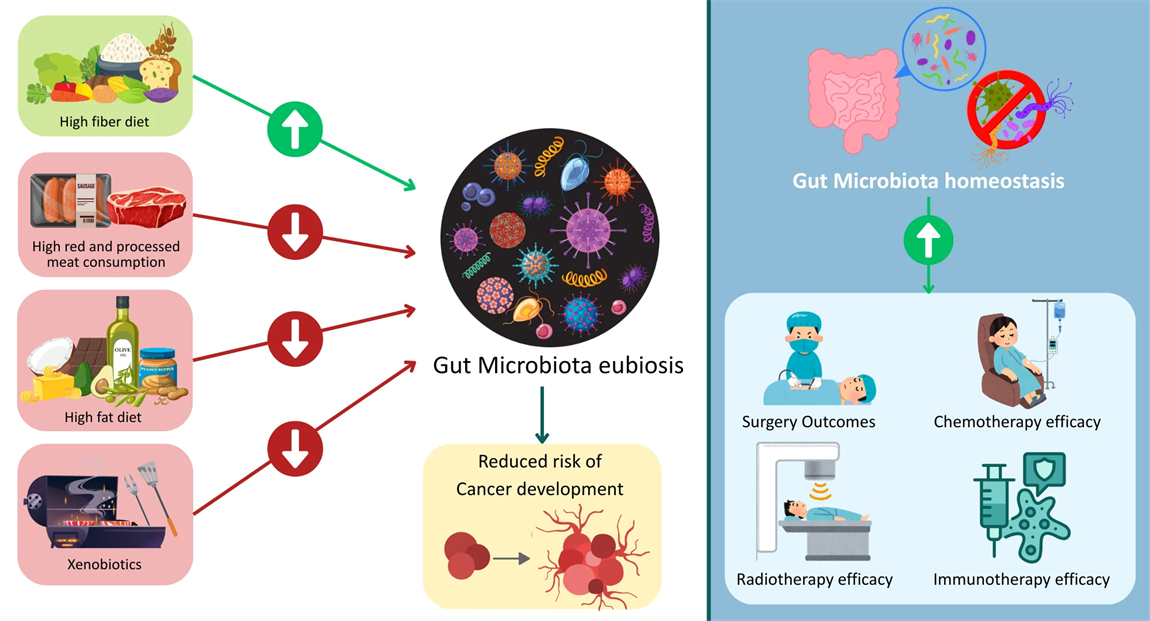 The Role of the Gut Microbiome in Gastrointestinal Cancer Development