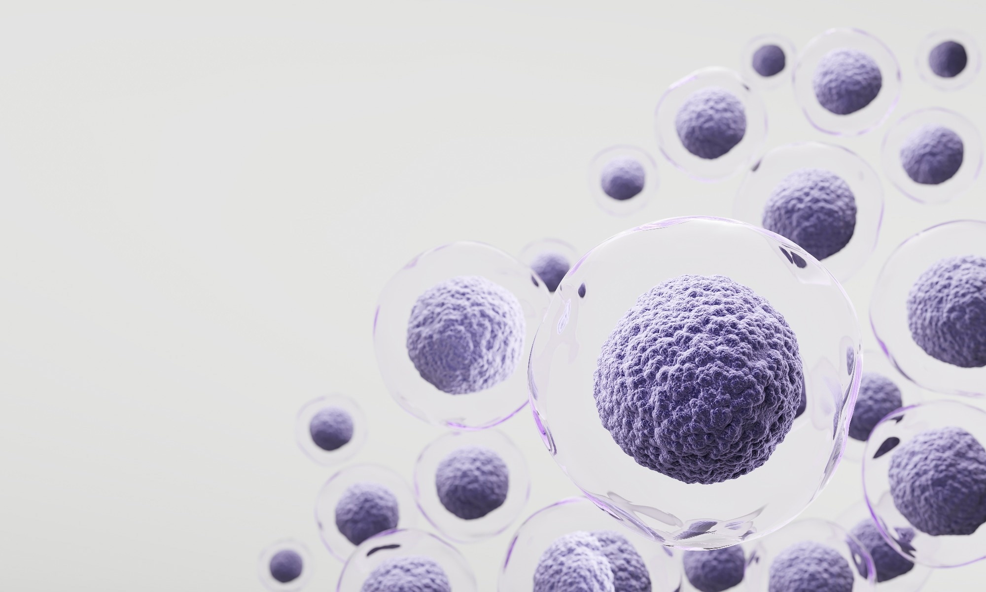 Body Homeostasis Icon Stem Cell Aging: Why Tissue Repair Slows With Age