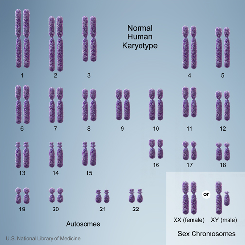 using dna in science and technology essay