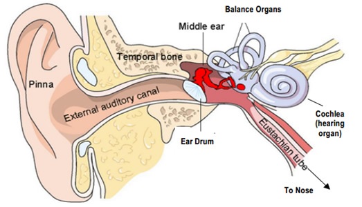 What Are Balance Disorders