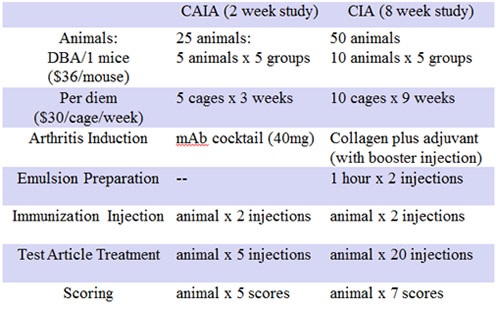 Collagen Antibody-Induced Arthritis
