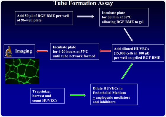 download ciba foundation symposium 88 neuropharmacology of