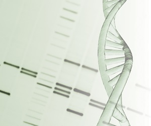 Scientists explore factors that most affect our immune system