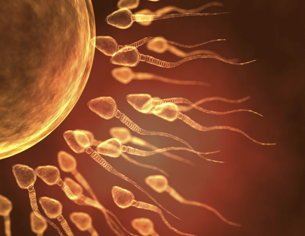 Sperm transport disorders