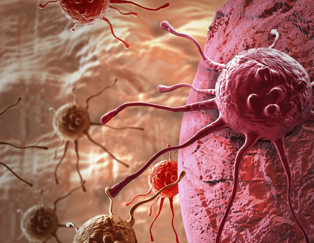 Microrna-based therapy may prove to be effective against chemotherapy-resistant cancers