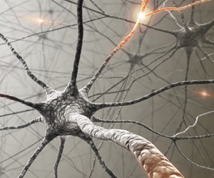 Study provides new clues to connection between aging and neurodegeneration