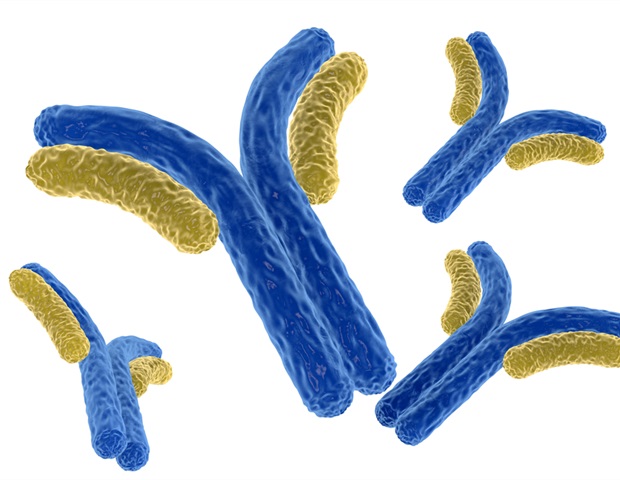 Antibody discovery could explain mysteries about COVID-19 and long COVID