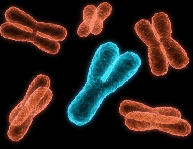 Penn Researchers Develop Breakthrough Technique for Creating Human Artificial Chromosomes