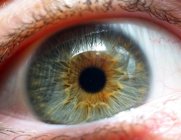Inflammasome, Boehringer Ingelheim team up to develop new therapies for retinal diseases