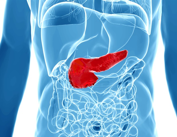 Researchers create pain mediator profile for pancreatic diseases