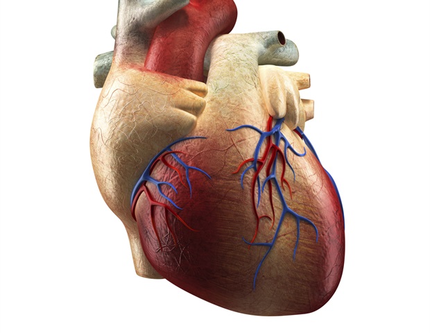 Rapid diagnosis protocol does not improve outcomes for patients with chest pain