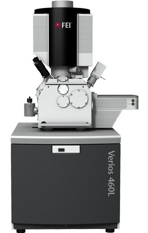 Verios XHR Scanning Electron Microscope from Thermo Fisher 