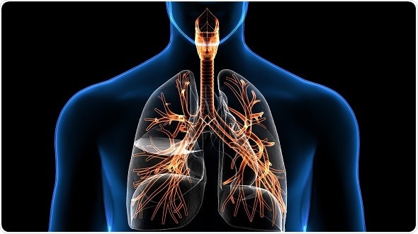 Ntm Lung Infections Ntm Lung Infections