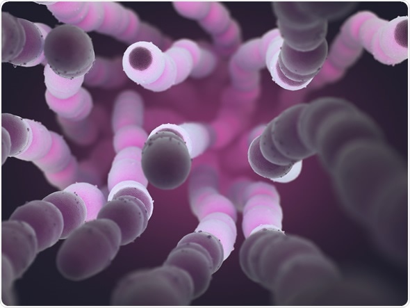 Image result for Streptococcus pneumoniae