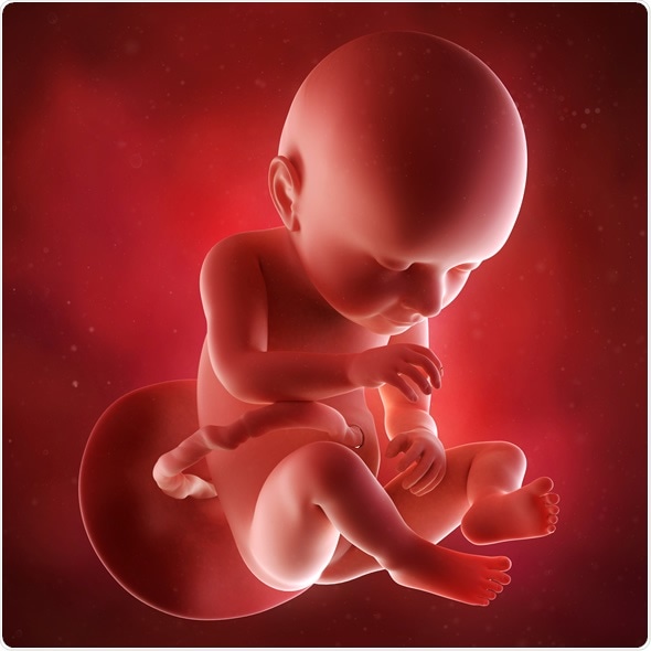 Baby Development During 35 Week Of Pregnancy