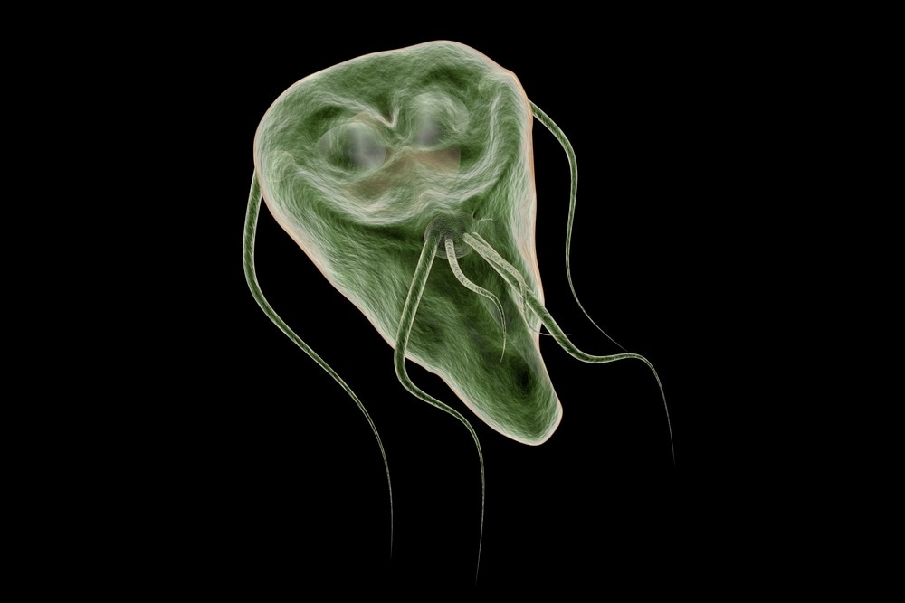 Giardia parasite Gombás parazita kezelés