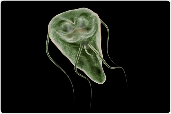 giardia water infection)