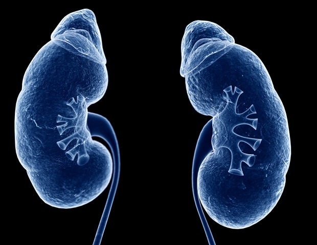 Chronic kidney disease associated with increased risk of adverse cardiovascular outcomes