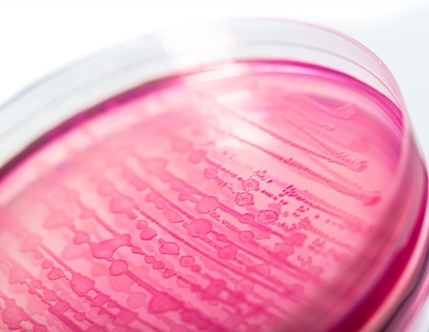 Research shows how bad E. coli gain a foothold over good bacteria in IBD Research shows how bad E. coli gain a foothold over good bacteria in IBD