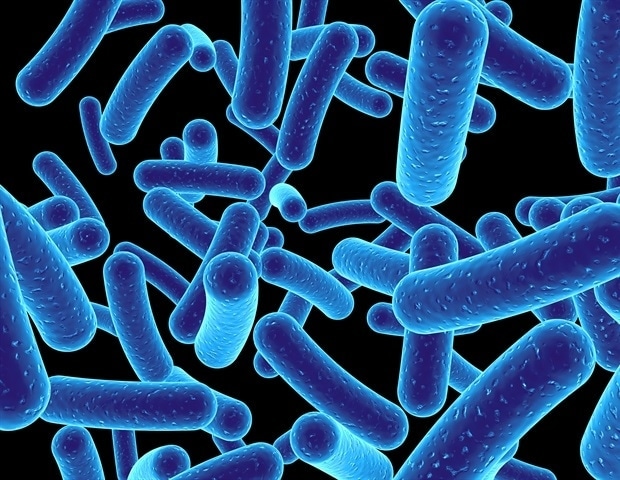 Research shows how bacteria associated with Crohn's disease tolerate antibiotics