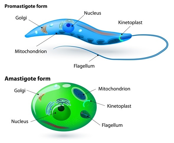 download composite materials