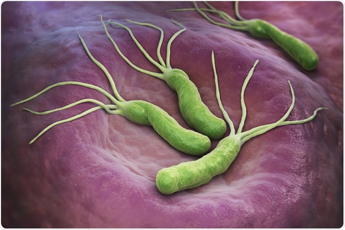 bacterie h pylori