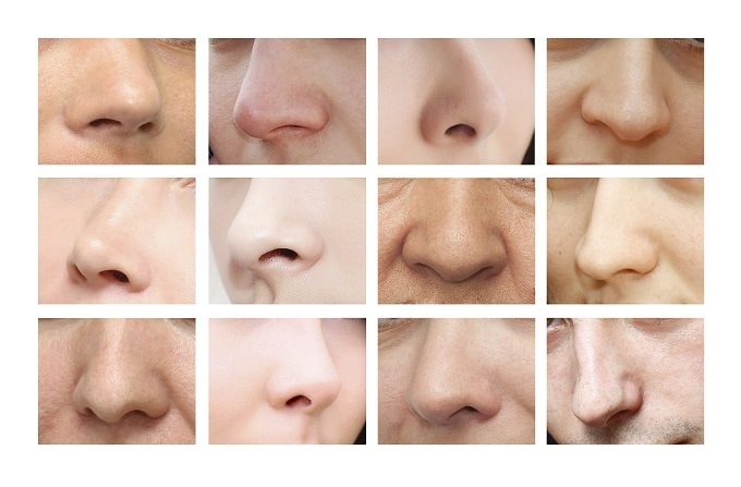 Climate is a driving factor for human nose shape