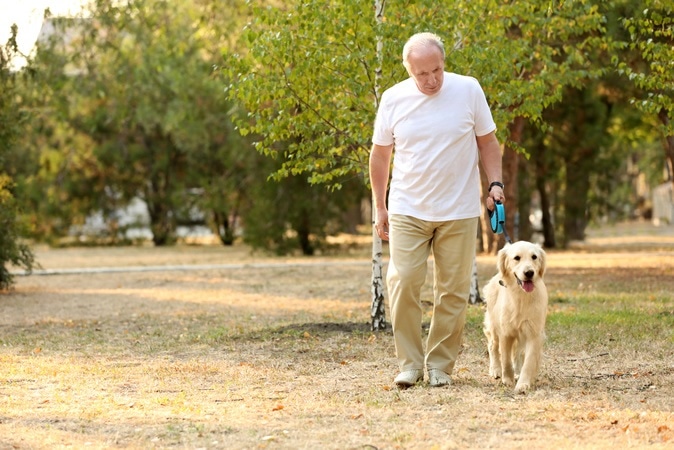 elderly dog owner walking ile ilgili görsel sonucu