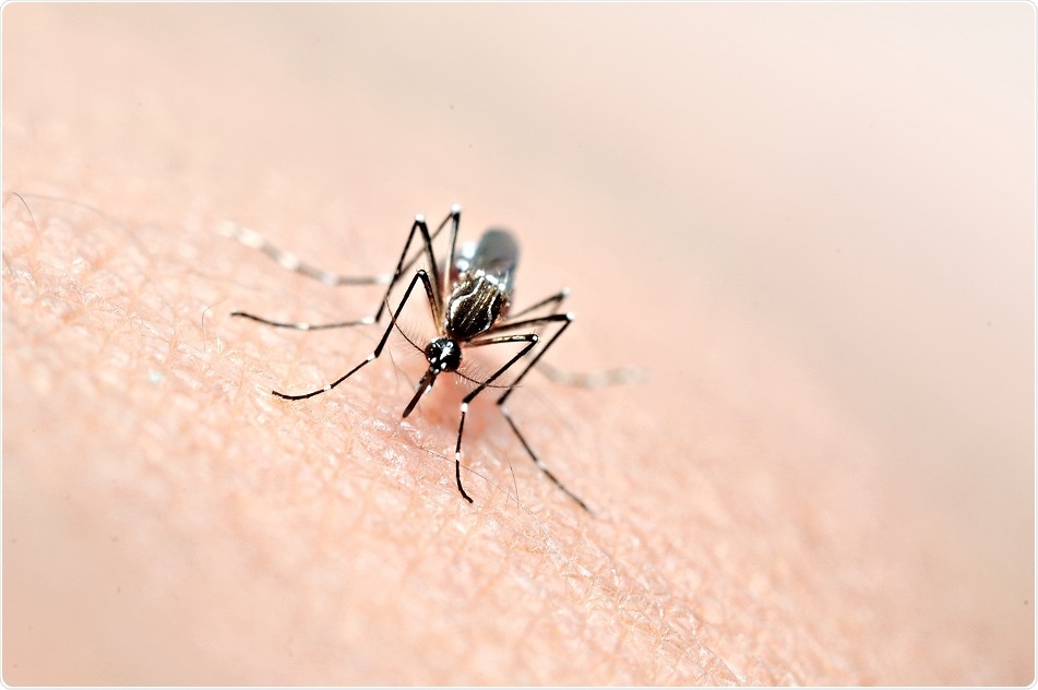 Zika Supprime Le Systeme Immunitaire Pendant La Grossesse Pour Nuire Au Bebe Enregistrent Des Chercheurs Zika Supprime Le Systeme Immunitaire Pendant La Grossesse Pour Nuire Au Bebe Enregistrent Des Chercheurs