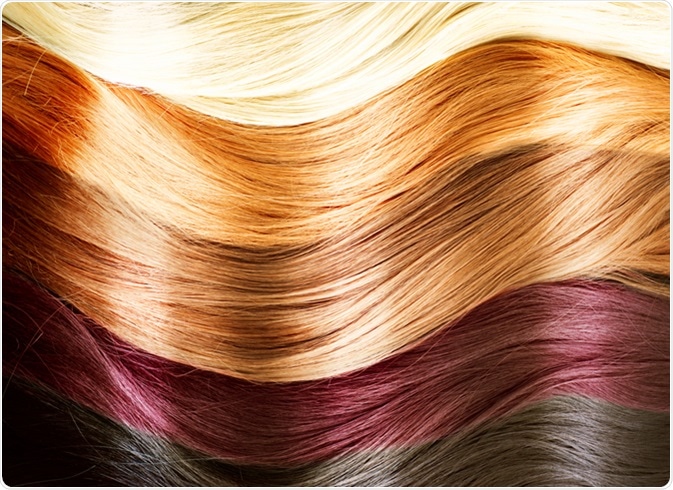 Genetics Of Hair Color