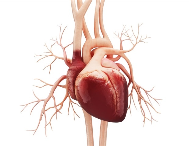 Novoheart collaborates with AstraZeneca to develop world’s first human heart-in-a-jar model of heart failure