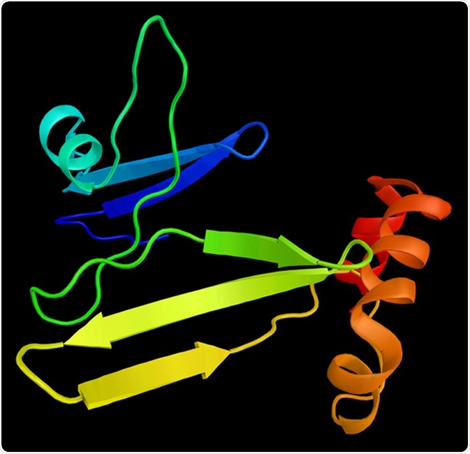 Ghrelin, the 'hunger hormone', also known as lenomorelin, a peptide hormone produced in the gastrointestinal tract which functions as a neuropeptide in the central nervous system. 3d rendering. Image Credit: ibreakstock / Shutterstock Ghrelin, the 'hunger hormone', also known as lenomorelin, a peptide hormone produced in the gastrointestinal tract which functions as a neuropeptide in the central nervous system. 3d rendering. Image Credit: ibreakstock / Shutterstock