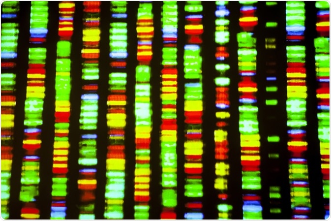 DNA sequence. Image Credit: Gio.tto / Shutterstock DNA sequence. Image Credit: Gio.tto / Shutterstock