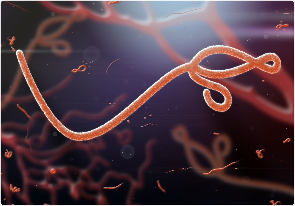 Scientists obtain clearest ever image of Ebola virus protein