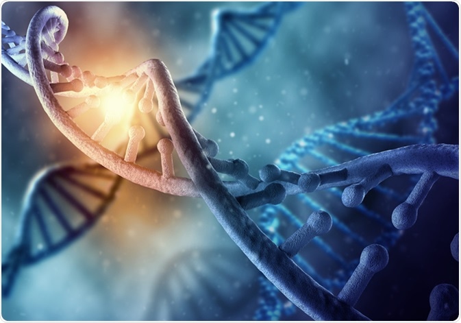 autism and junk dna