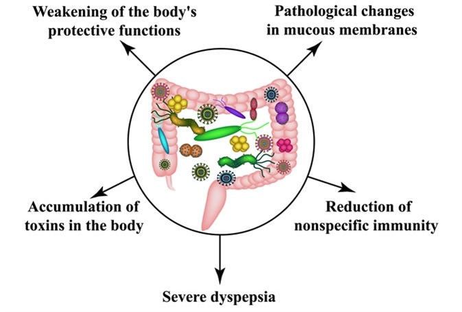 Dysbiosis from antibiotics - Microflora — capricios creaturi, Dysbiosis candida