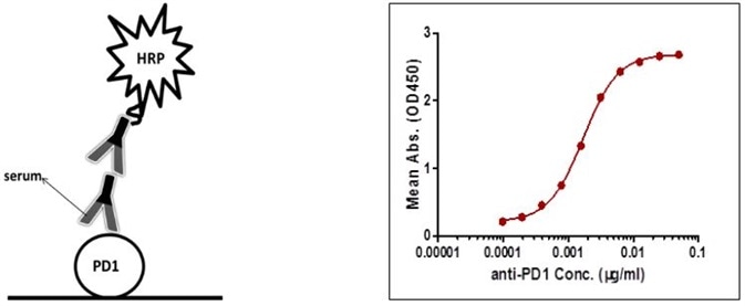 Measuring Drug Concentration In Serum Evaluating Assay Designs