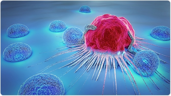 Innate to HIV through Natural Killer Cells