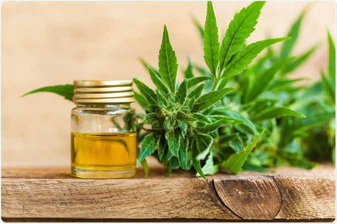 CBD Oil: Health Benefits and Risks