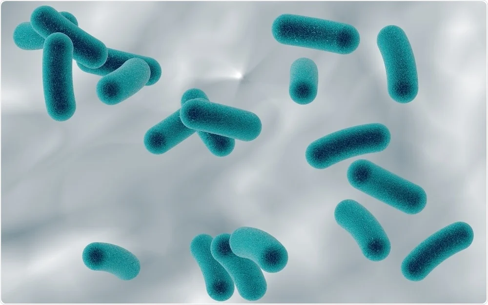 Researchers find evidence of epigenetics in single-celled archaea